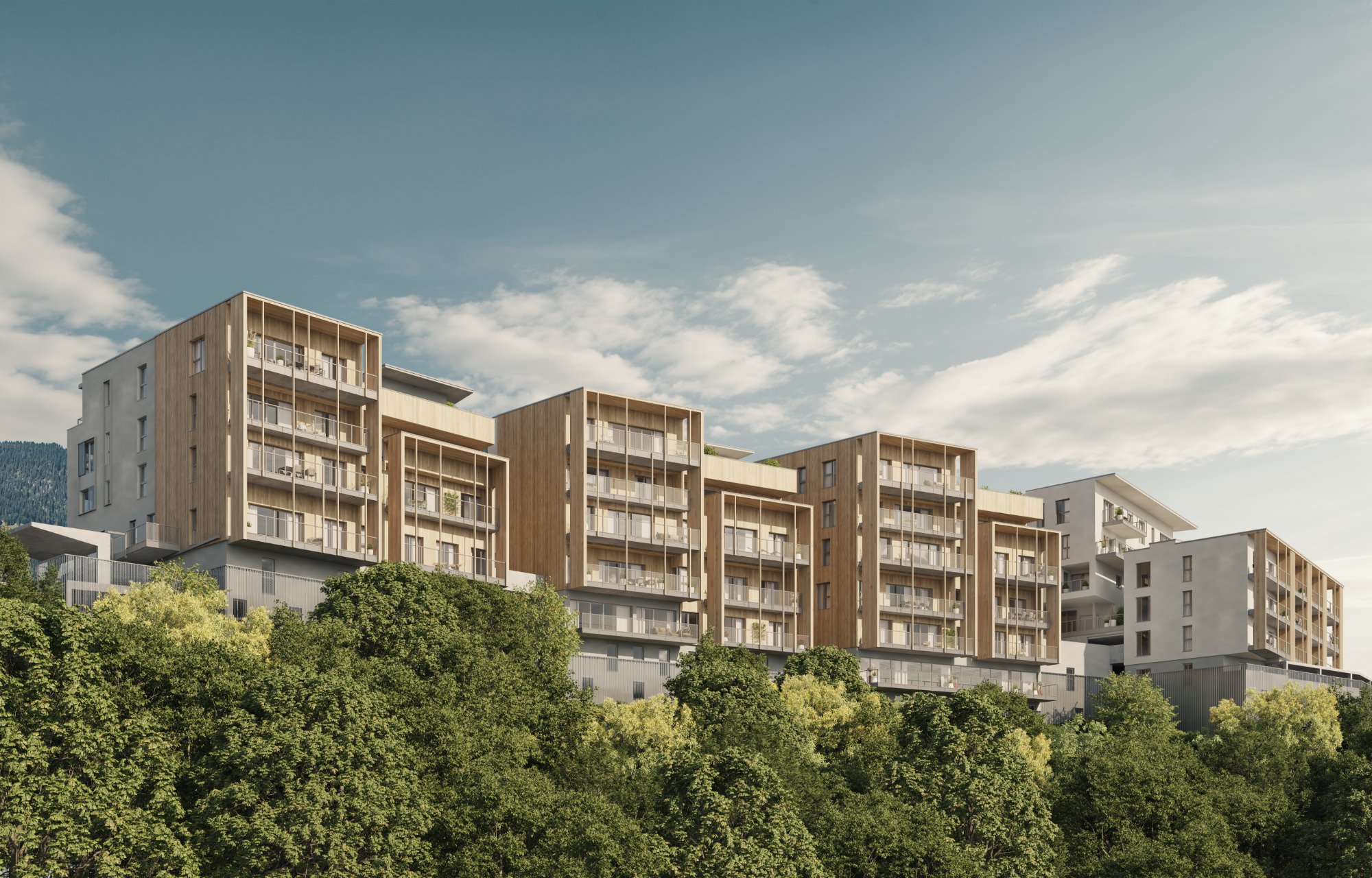 dunkelblaufastschwarz_Werbeagentur_Salzburg_branding_johanovum – 4