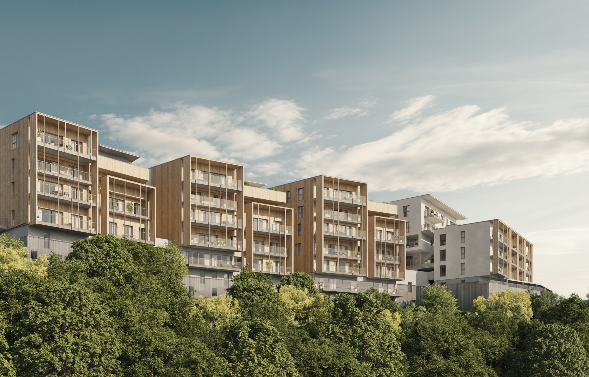dunkelblaufastschwarz_Werbeagentur_Salzburg_branding_johanovum – 11