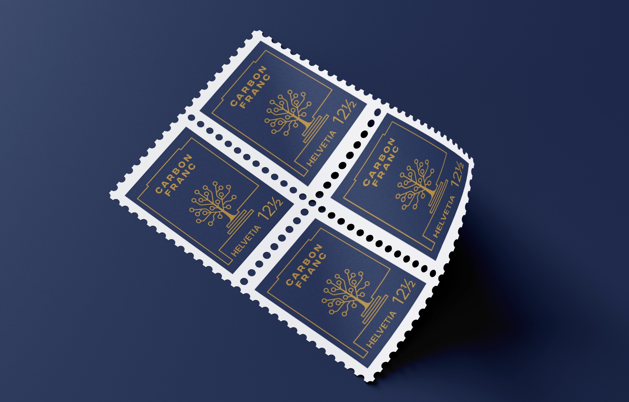 dunkelblaufastschwarz_Werbeagentur_Salzburg_branding_CarbonFranc_10 – 1