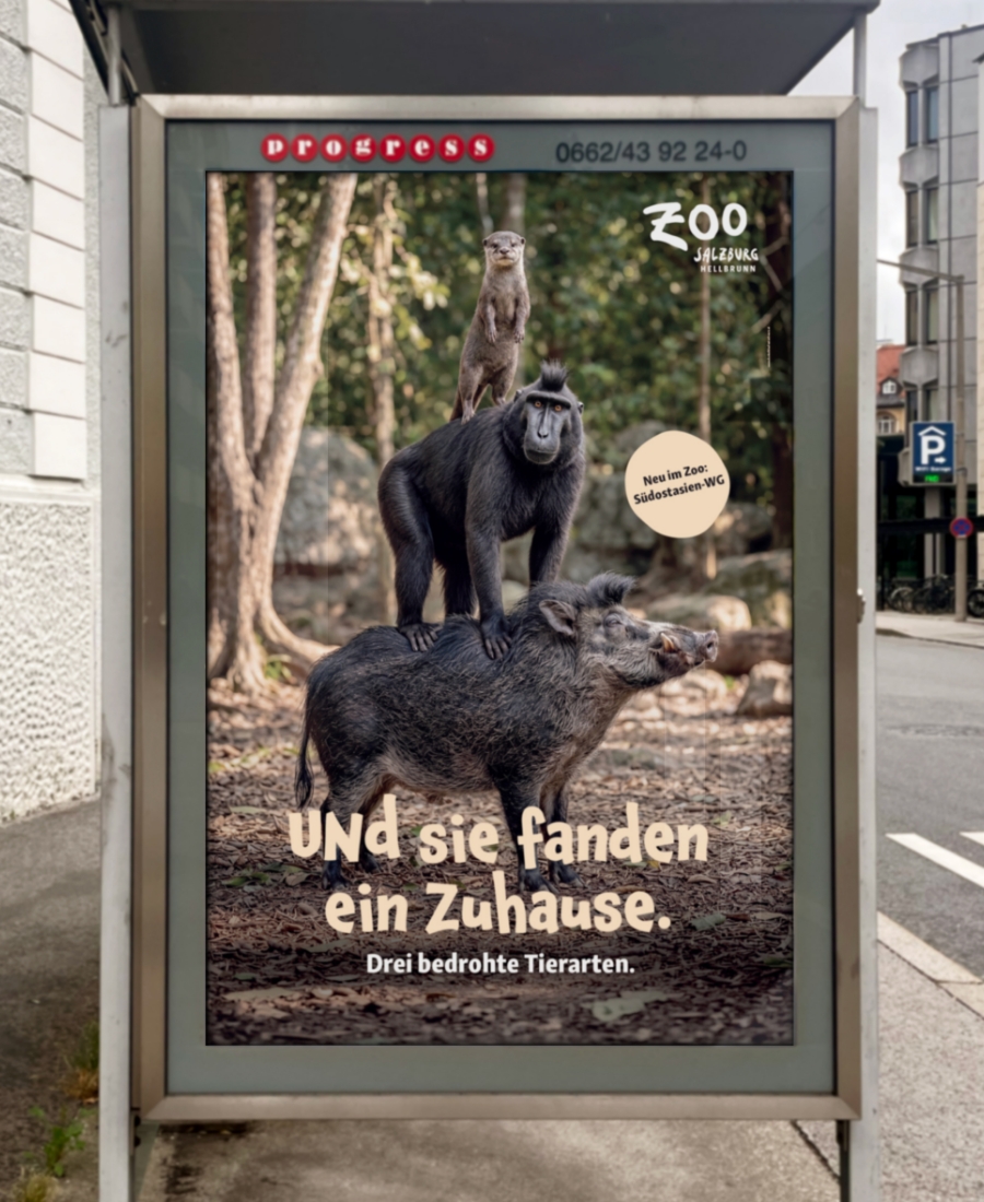 Zoo_Kampagne_dunkelblaufastschwarz_Agentur_Salzburg